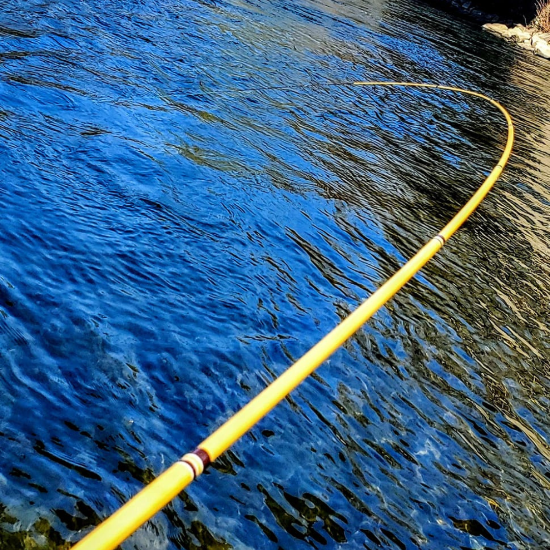 Tenkara Rod Actions Explained: Find the Flex That Fits Your Fishing