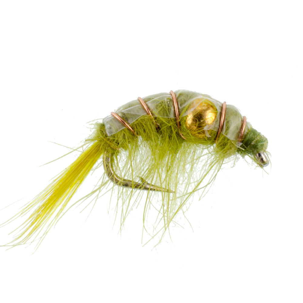 Beaded Shrimp Scud Assortment - 1 Dozen - Size 16 - Tailwater Lake Fly