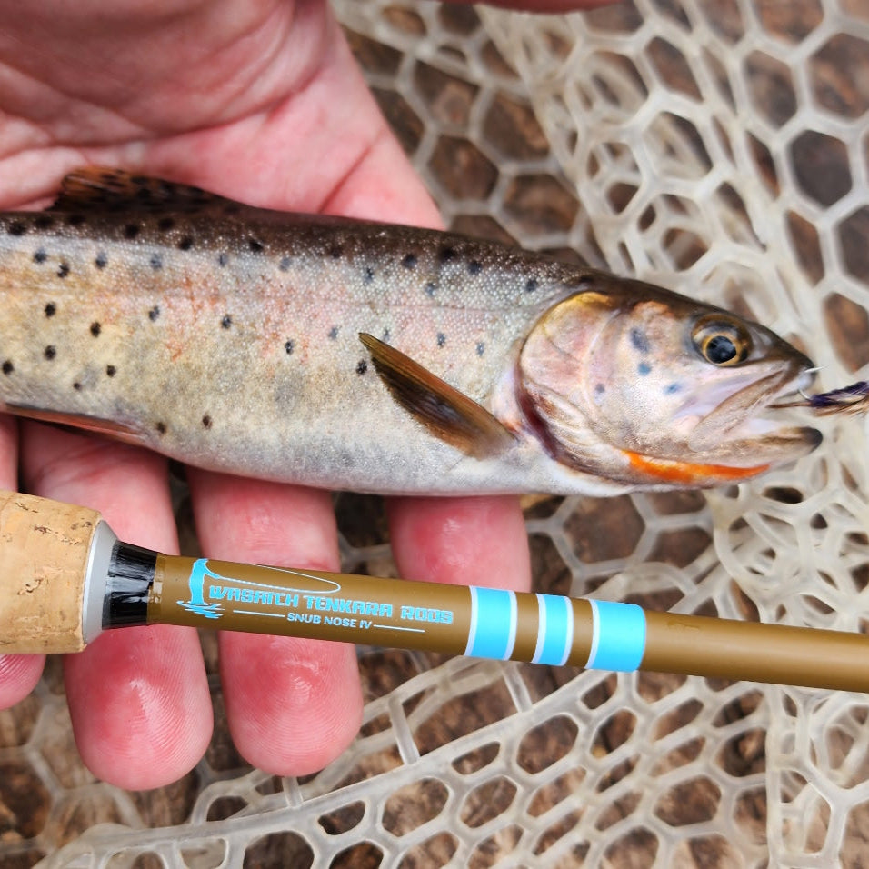 Close-up of a cutthroat trout caught on a dry fly, resting in a rubber landing net beside the Wasatch Tenkara Rods Snub Nose IV, showcasing the rod's compact design and performance for small stream fly fishing.