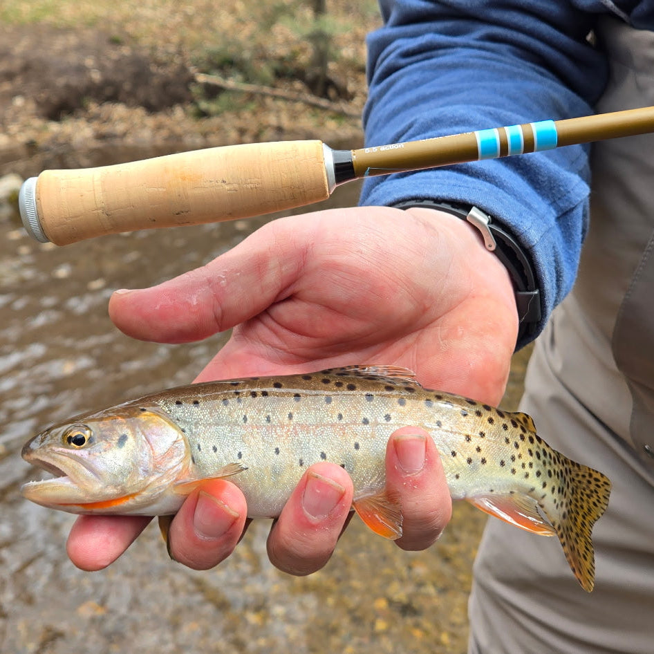 Angler holding a vibrant cutthroat trout beside a shallow stream, showcasing the Wasatch Tenkara Rods Snub Nose IV with cork handle—perfect for lightweight, precision fly fishing in backcountry waters.