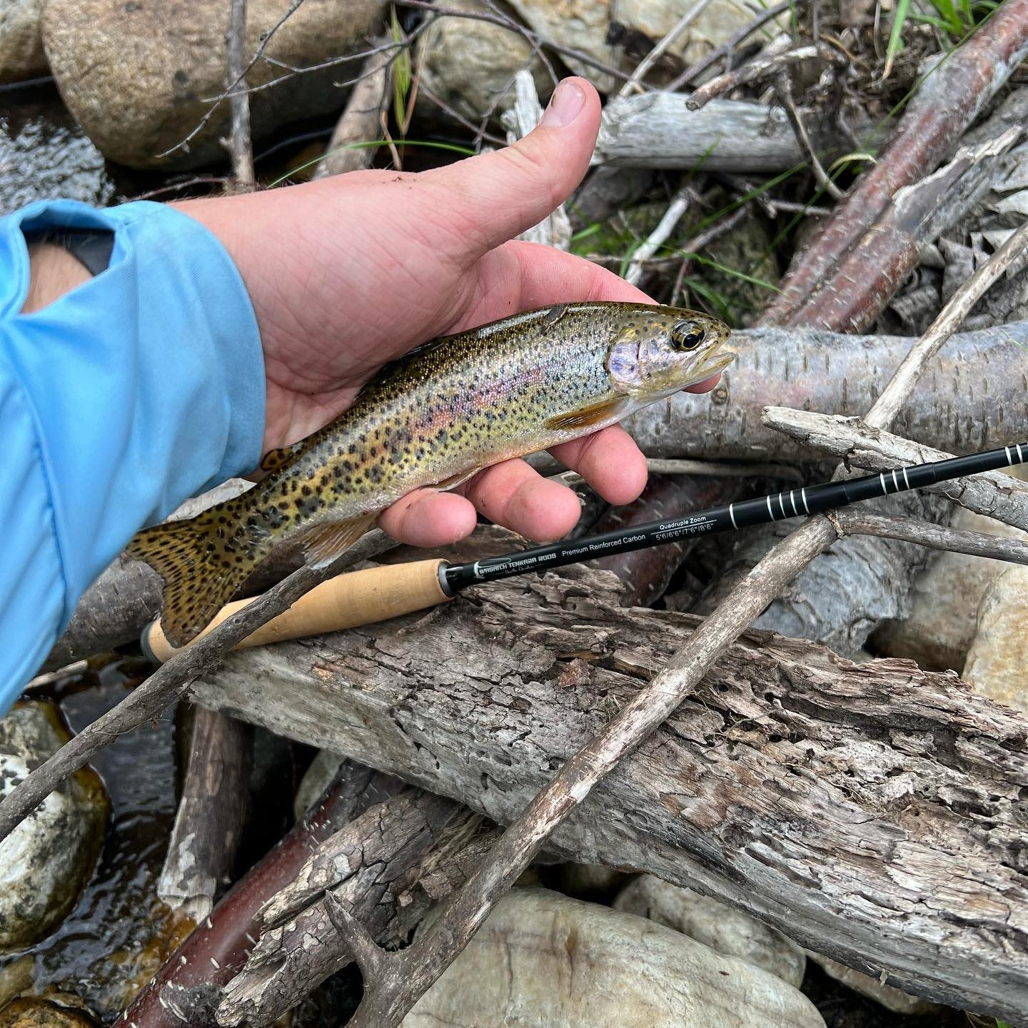 A close-up shot of the Wasatch Tenkara Rods - Darth Quattro resting on the ground, while the fisherman proudly holds up a beautiful rainbow trout he caught. The rod’s sleek, dark finish and carbon fiber sections are clearly visible, highlighting its high-quality craftsmanship. The vibrant pink and green hues of the trout contrast with the rod’s design, set against a natural outdoor background.