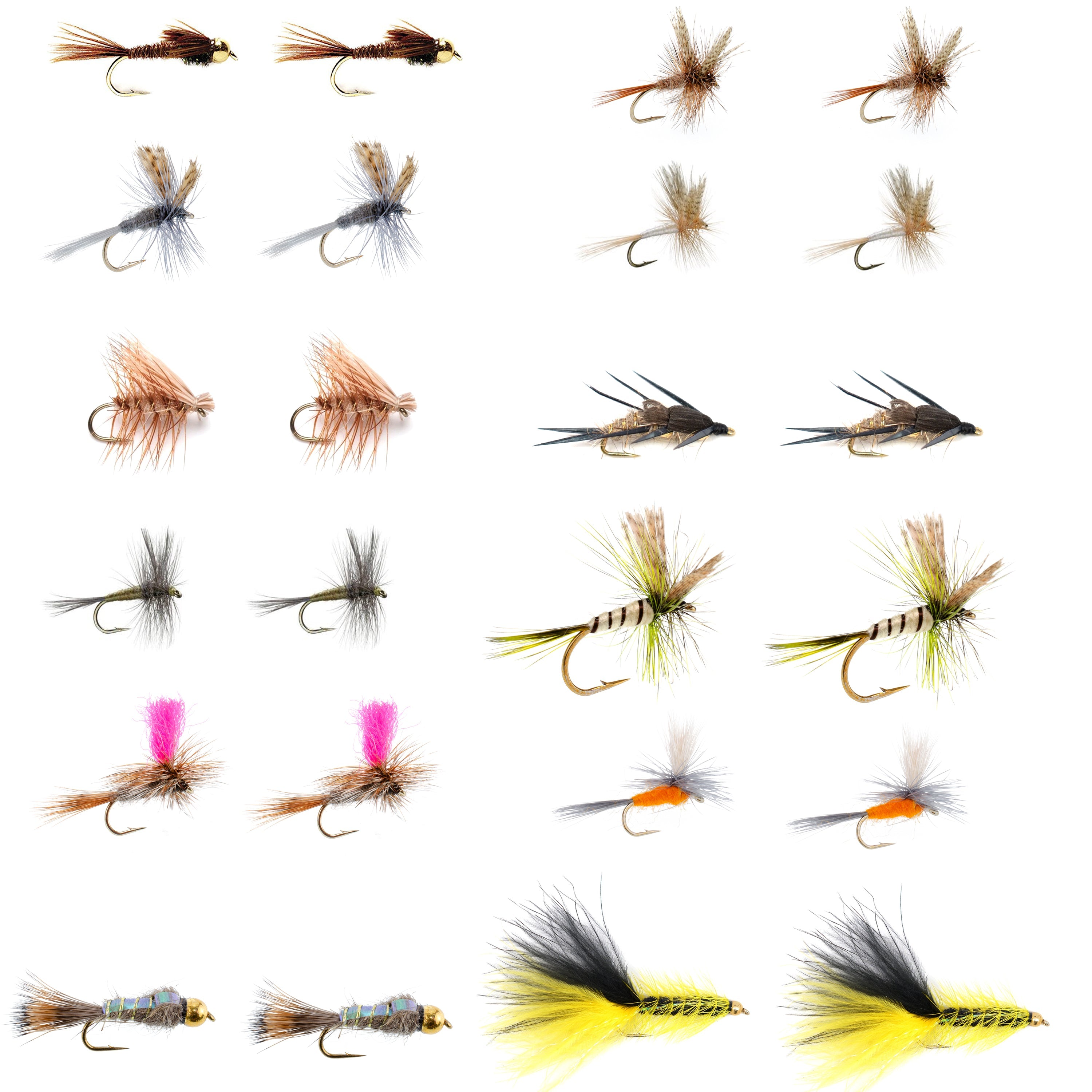 Eastern Trout Fly Assortment - 24 Essential Trout Flies Collection Eastern Trout Fly Assortment - 24 Essential Trout Flies Collection