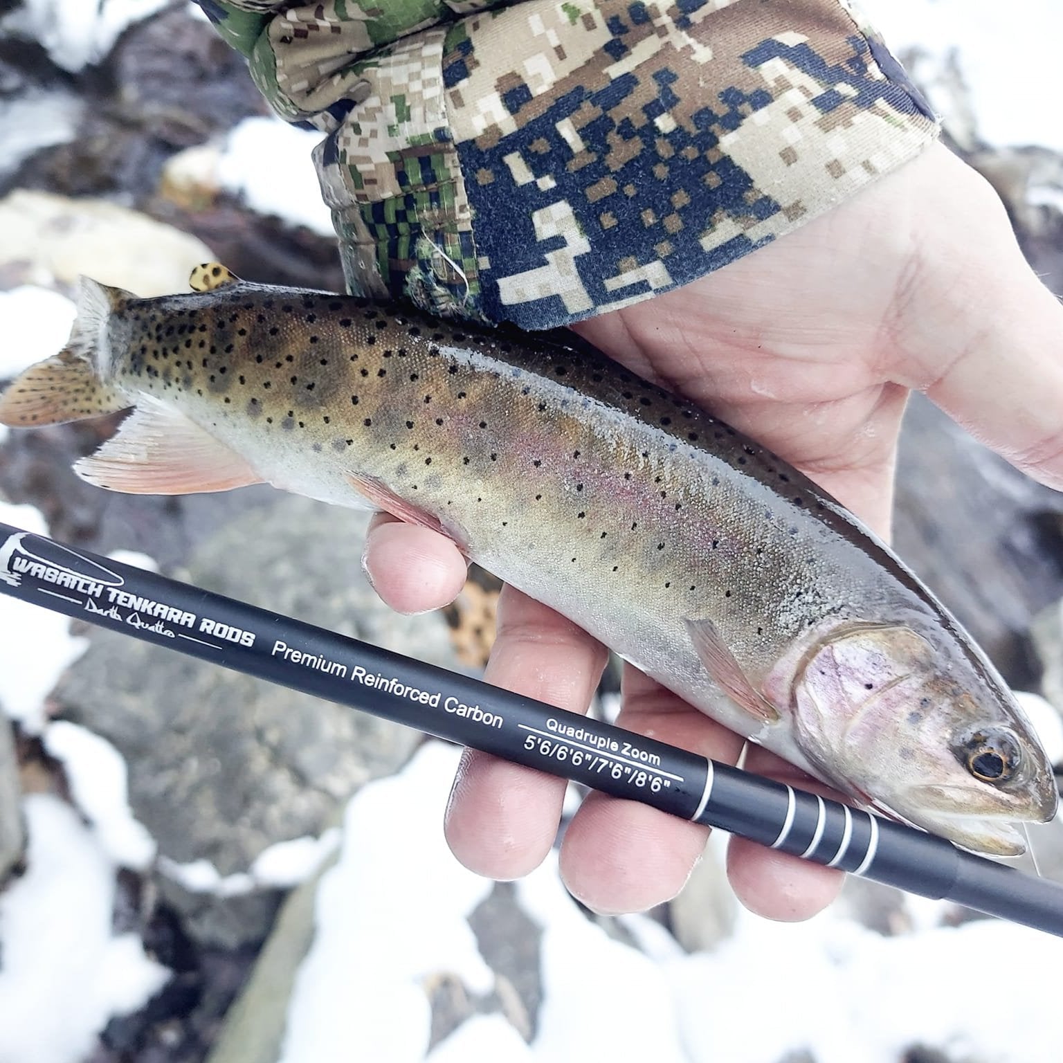 A person holding a small trout with a Wasatch Tenkara Rods - Darth Quattro in one hand, showcasing the catch. The background features a snow-covered stream and rocks, indicating a winter fishing trip. The rod is labeled "Premium Reinforced Carbon" and displays length options for adjustment.