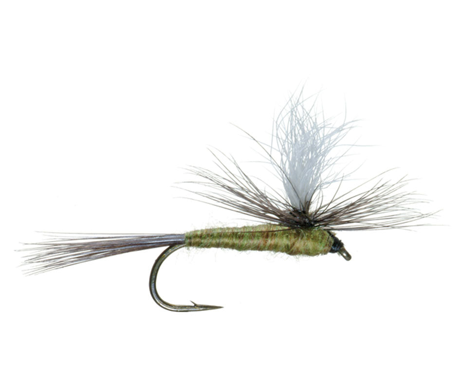 Essential 28 Trout Fly Assortment – For Beginner or Advanced Fly Fishers