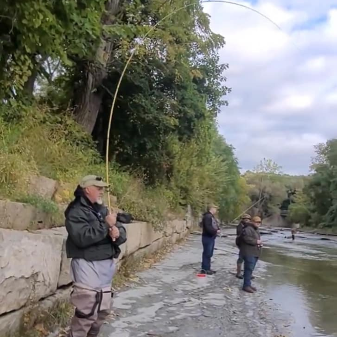 Angler on a riverbank with the Hankyu Middle Fork Tenkara Rod fully bent while fighting a fish, demonstrating the rod’s strength and flex under pressure. Other anglers fish in the background along the scenic tree-lined river.