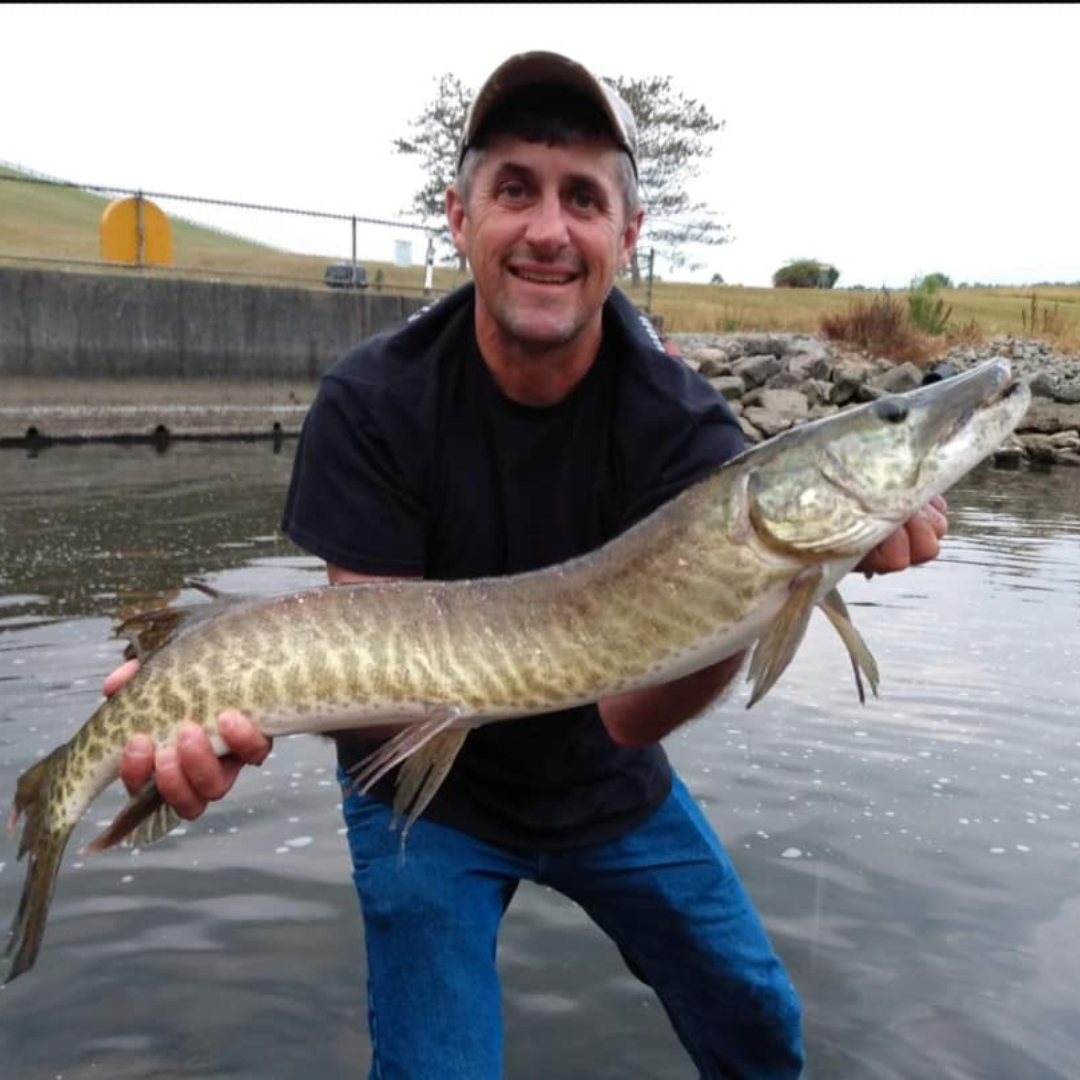 Man proudly holding a large muskellunge (muskie) with distinct vertical markings, standing in shallow water near a rocky shoreline and dam structure.