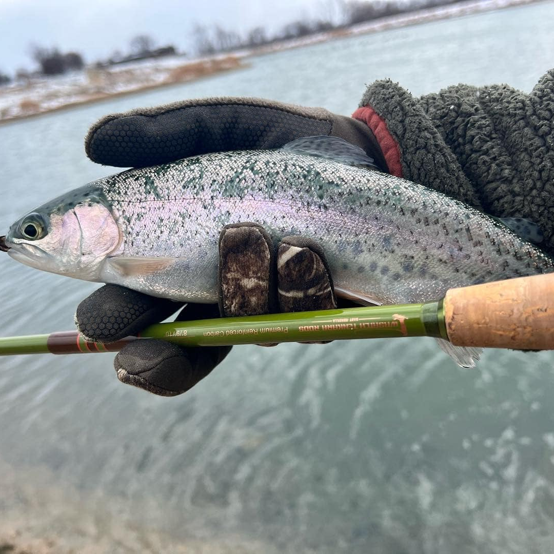 Angler holding a rainbow trout above a green Baby RodZilla tenkara rod from Wasatch Tenkara Rods, with a lake in the background and gloved hands indicating winter fishing conditions.