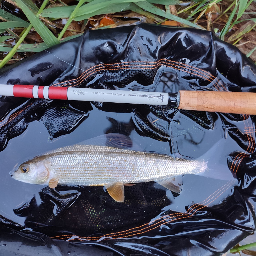 The T-Hunter is a strong and versitle triple zoom tenkara rod. In this photo a customer landed a beautiful Arctic Grayling in Utah.