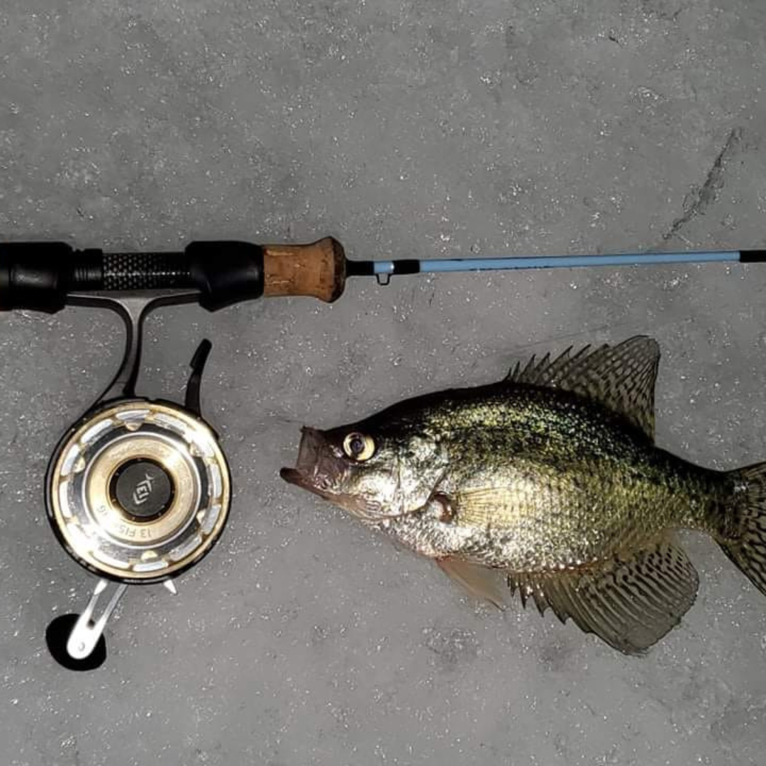 A Wasatch Tenkara Rods - Winterhawk ice fishing rod and reel with a cork handle laid on an icy surface next to a freshly caught fish, showcasing the rod's lightweight design and a successful fishing outing.