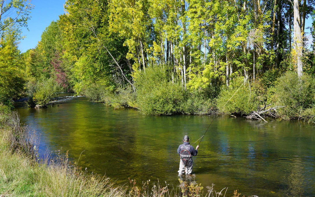 3 Pack Barbless Royal Wulff Classic Hair Wing Dry Fly - Hook Size 12