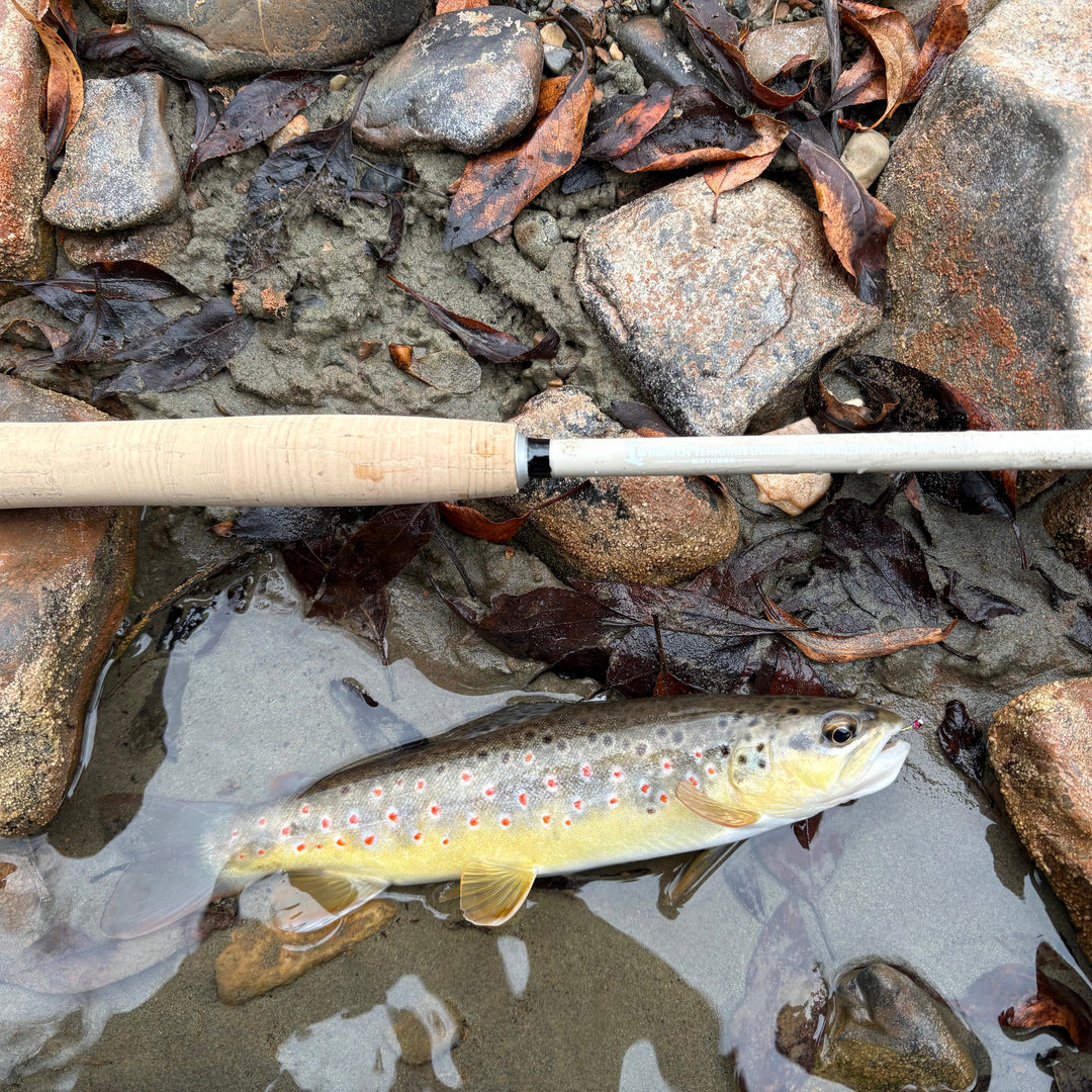 brown trout fly fishing rods MothRod – Wasatch Tenkara Rods