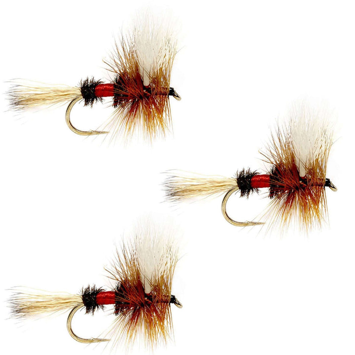 3 Pack Barbless Royal Wulff Classic Hair Wing Dry Fly - Hook Size 12