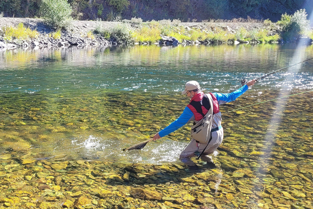 Black Zebra Sakasa Kebari - 12 Tenkara Flies - Size 14