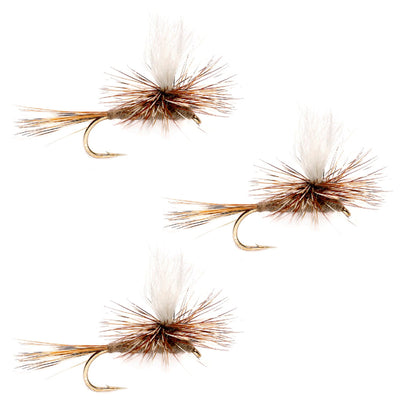 3  Pack Adams Parachute Classic Dry Fly - Hook Size 20