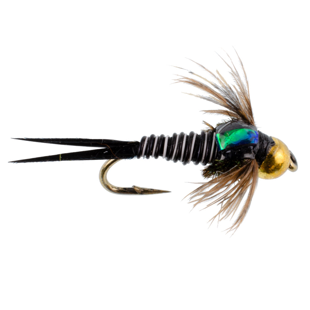 Bead Head Zebra Copper John Nymph Fly Fishing Flies - 1 Dozen Flies Ho ...