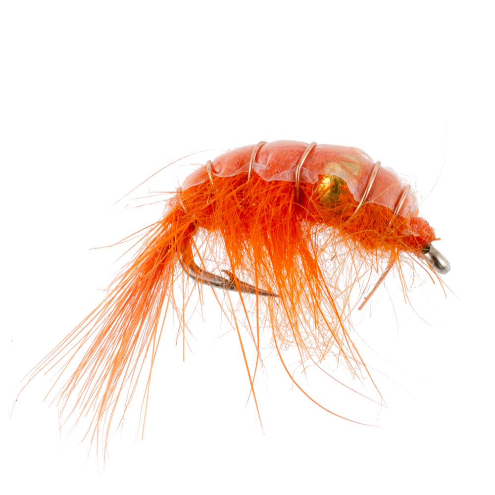 Scida Fly Orange Beaded Shrimp Scud Pattern - 6 Flies - Size 12 - Tailwater Lake ...