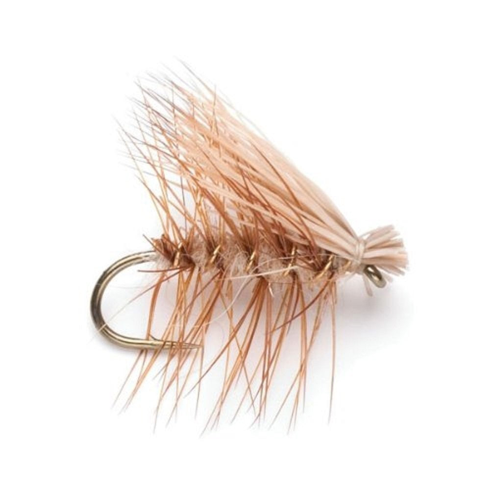 Essential 28 Trout Fly Assortment  – For Beginner or Advanced Fly Fishers