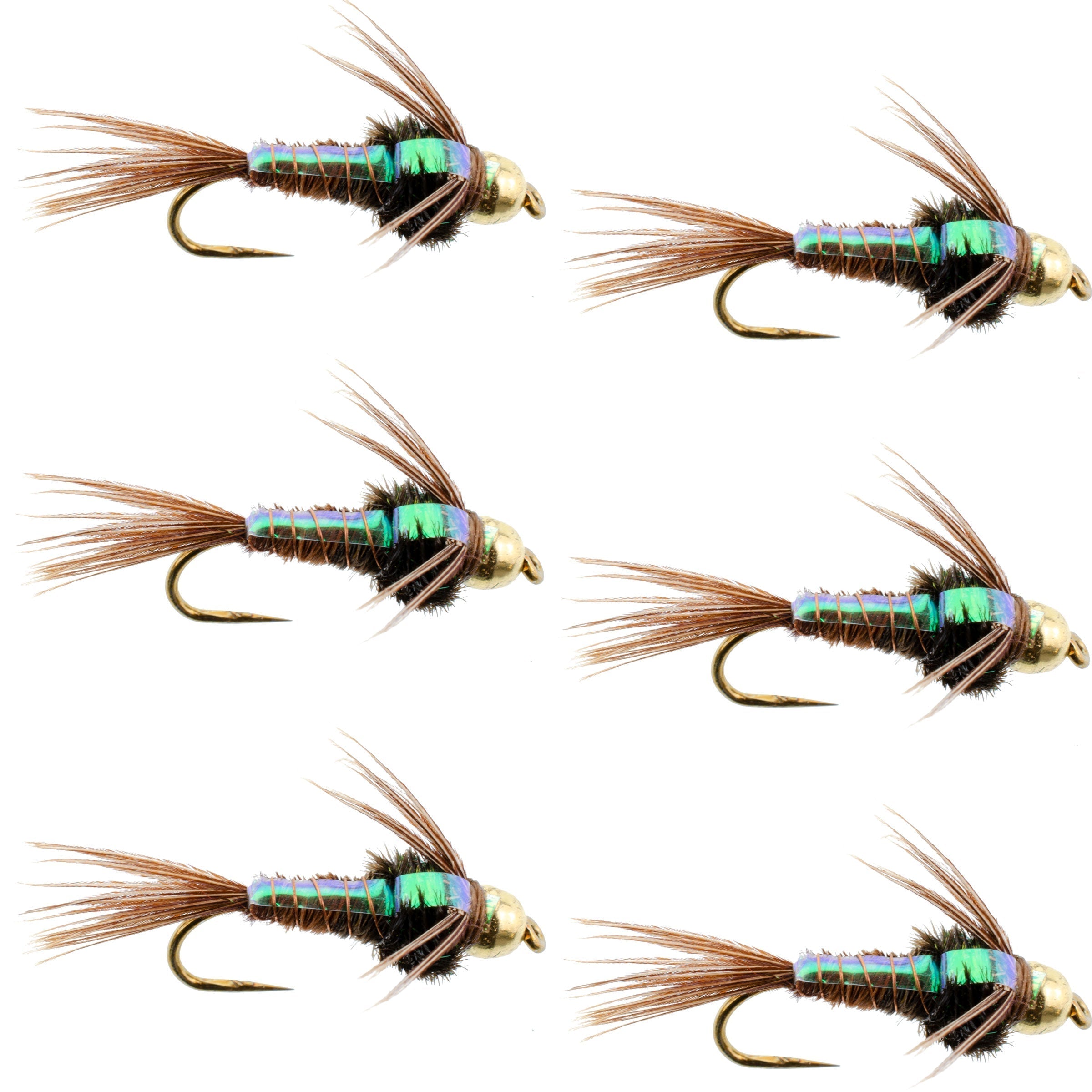 Barbless Bead Head Flashback Pheasant Tail Nymph Fly 6 Flies Hook Size ...