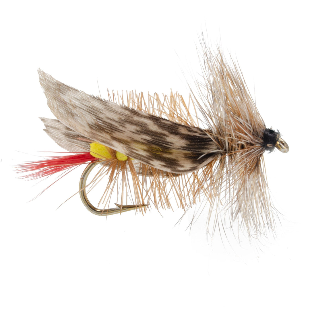 Joe's Hopper Yellow Foam Body Grasshopper Fly - 1 Dozen Flies Hook Siz ...