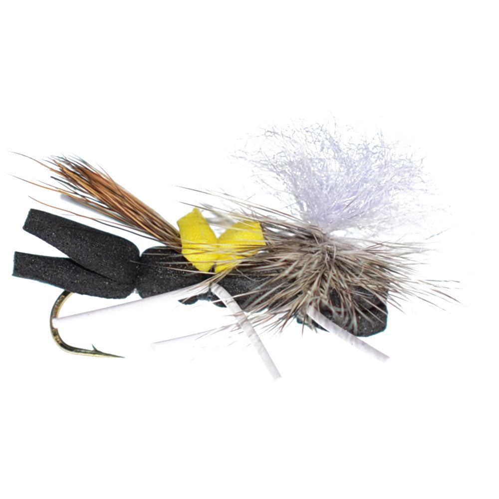 Chubby Chernobyl Ant Fly Fishing Flies - Assortment Of 12 Foam Body Flies #10 Hook