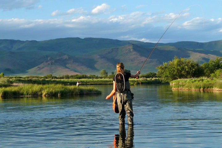 3 Pack Parachute Purple Haze Dry Fly - Size 20