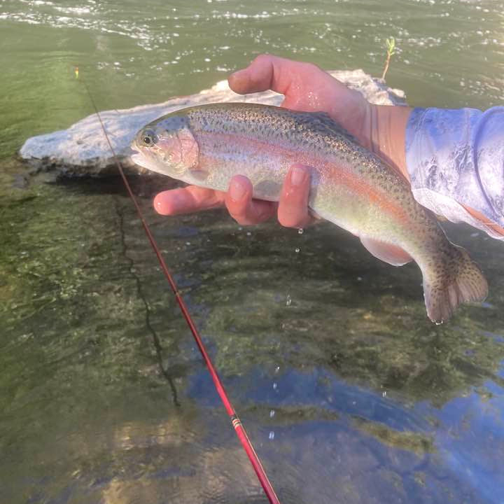 Akai Samurai Tenkara Rod – Lightweight Power & Precision | Wasatch