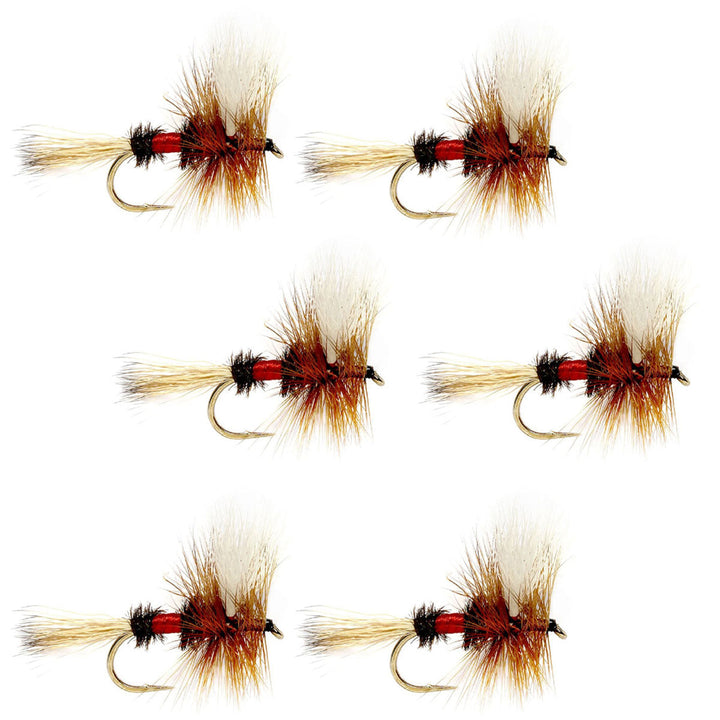 Barbless Royal Wulff Classic Hair Wing Dry Fly - 6 Flies Hook Size 12