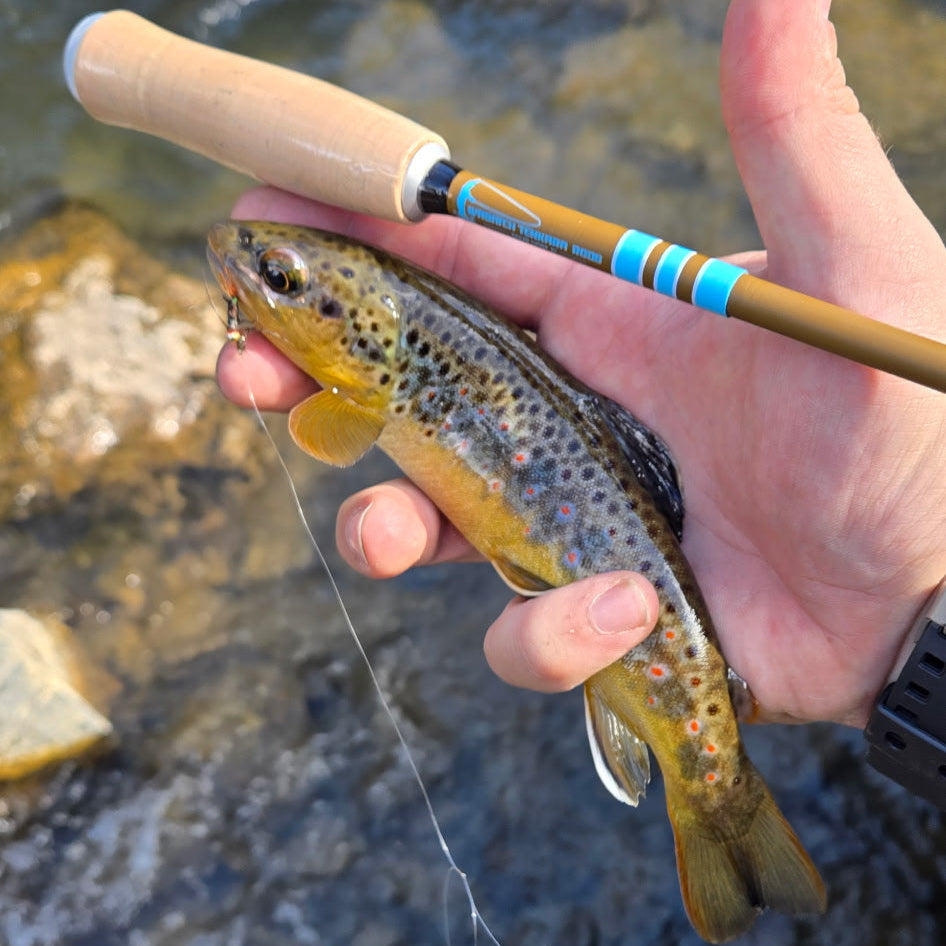 Angler holding a colorful brown trout caught on a nymph pattern, with the Wasatch Tenkara Rods Snub Nose IV in hand, emphasizing lightweight fly fishing gear ideal for backcountry creeks and mountain streams.