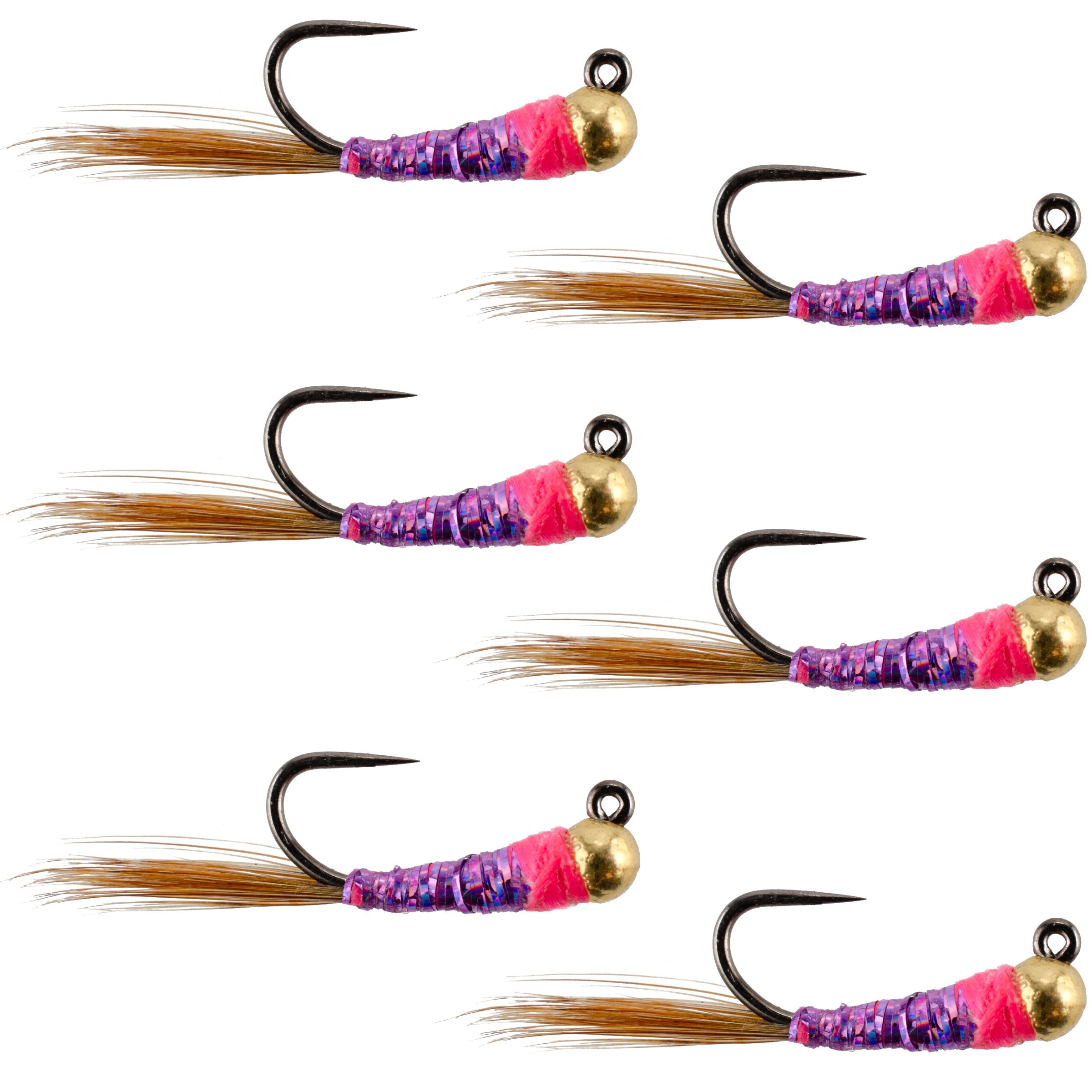 Tungsten Bead Hot Spot Purple Perdigon Tactical Jig Spanish Czech Euro Nymph Fly - 6 Flies Size 16