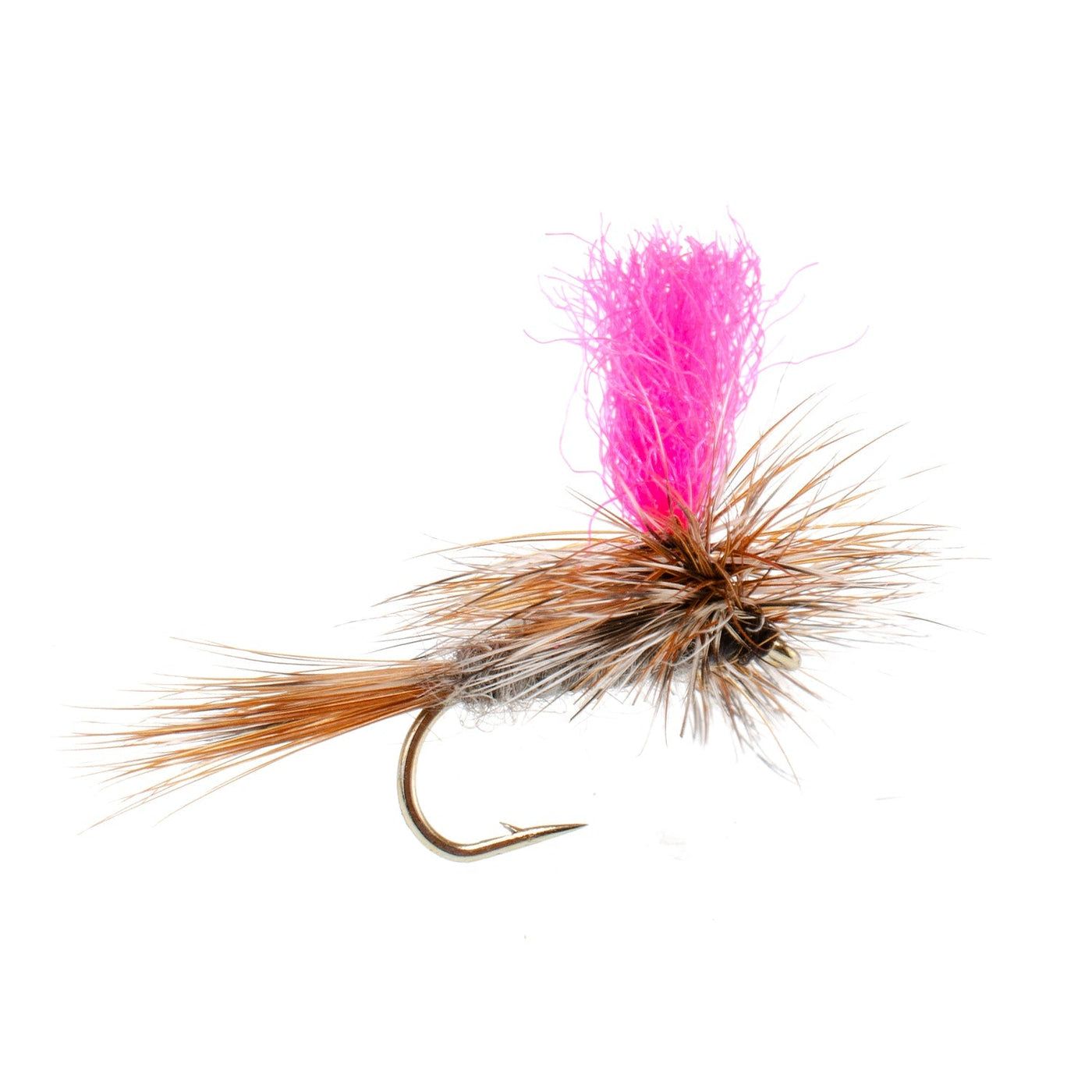 Eastern Trout Fly Assortment - 12 Essential Dry and Nymph Fly