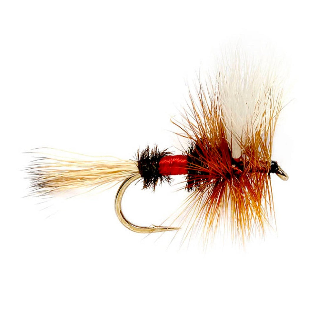 3 Pack Barbless Royal Wulff Classic Hair Wing Dry Fly - Hook Size 14