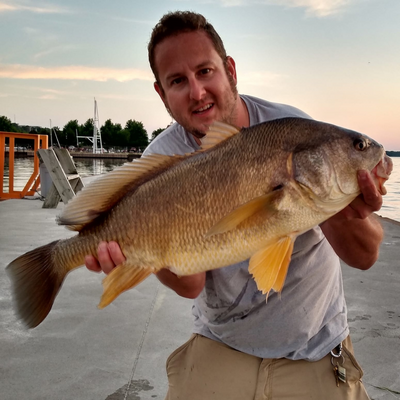 This is a big freshwater Drum which a customer caught with the Wasatch Tenkara Rods, RodZilla!