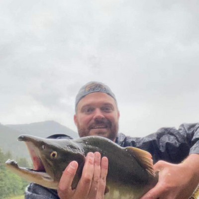 This is a big salmon a customer caught while fishing in Alaska with the Wasatch Tenkara Rods, RodZilla!