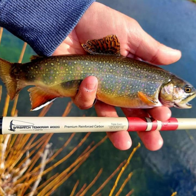 The T-Hunter is a versitle triple zoom tenkara rod. In this photo a customer landed an awesome Brooke Trout!