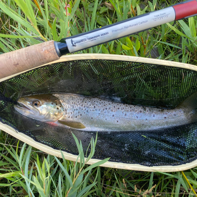The T-Hunter is a strong and versitle triple zoom tenkara rod. In this photo a customer landed an awesome Brown Trout! Look at it in the net.