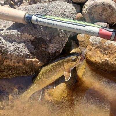 The T-Hunter is a strong and versatile triple zoom tenkara rod. In this photo a customer has a nice Tiger trout on the rocks.