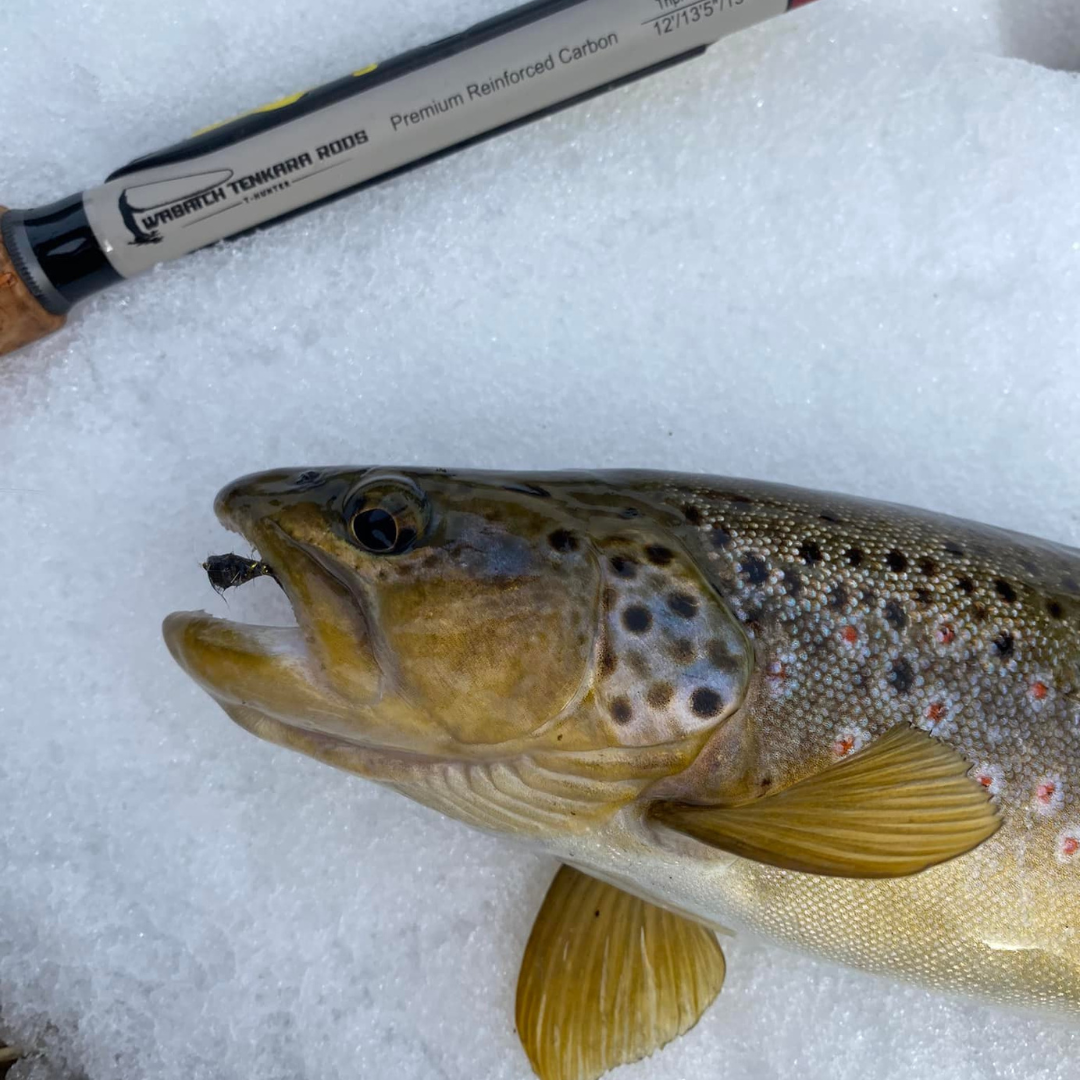The T-Hunter is a strong and versitle triple zoom tenkara rod. In this photo a customer landed a Brown while winter fly fishing in Utah.