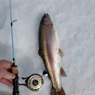 The Wasatch Tenkara Rods, Ice Fishing Rod, the Winter Hawk next to a nice Rainbow Trout!